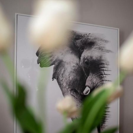 Apartment Aloha เทรบินเย ภายนอก รูปภาพ