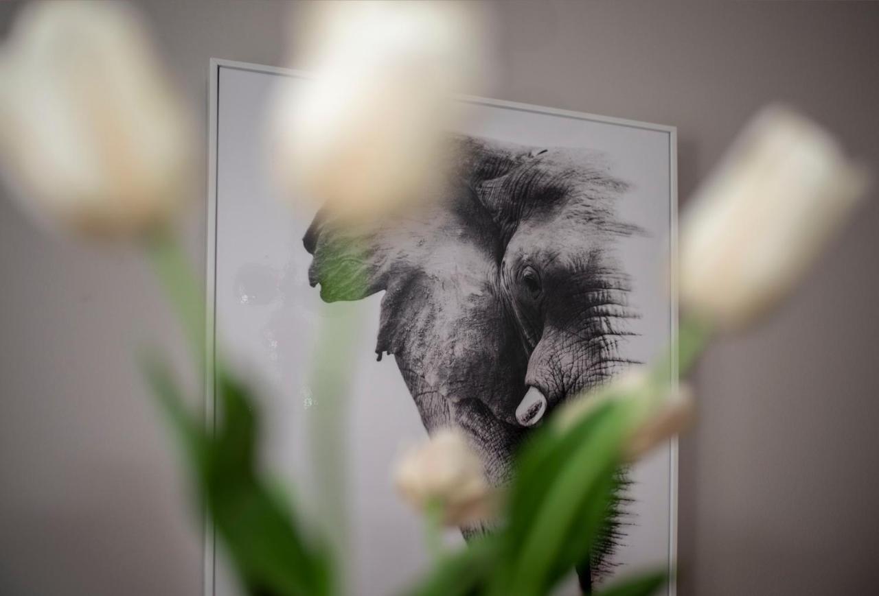 Apartment Aloha เทรบินเย ภายนอก รูปภาพ